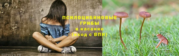 прущая мука Нея