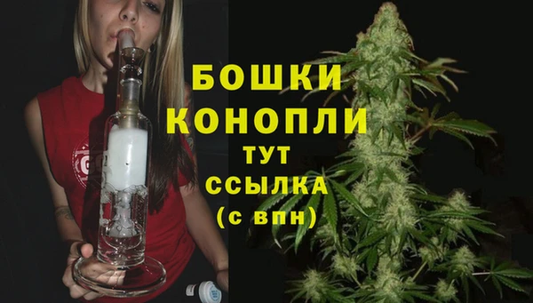 прущая мука Нея