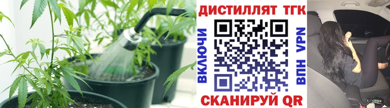 где купить наркоту  блэк спрут как зайти  ТГК Wax  Барнаул 